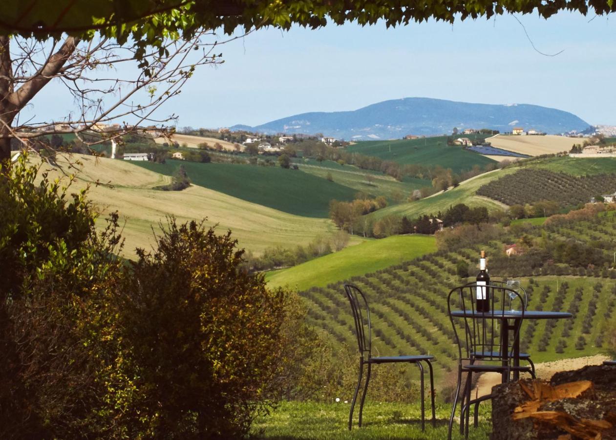 Il Gallo Silvestre - Bed&Books Montecassiano Exterior photo