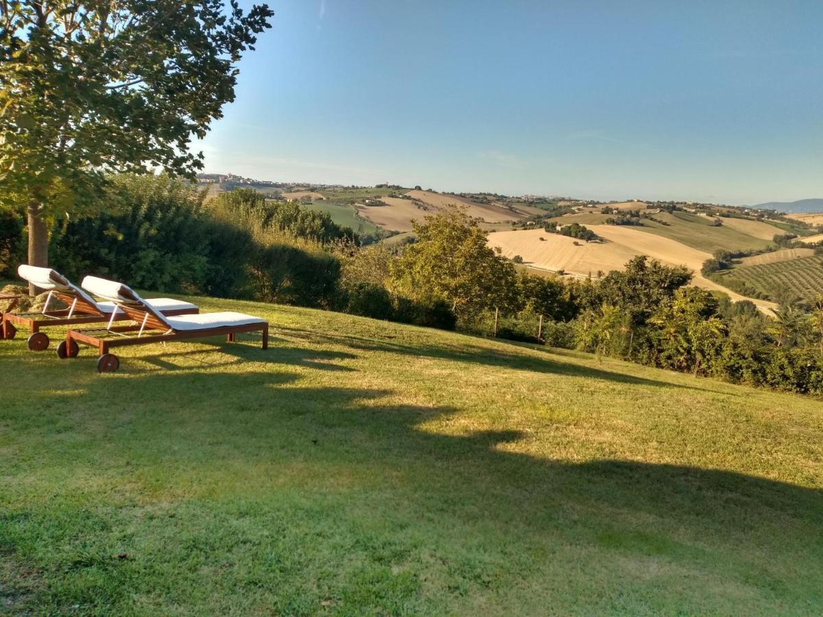Il Gallo Silvestre - Bed&Books Montecassiano Exterior photo